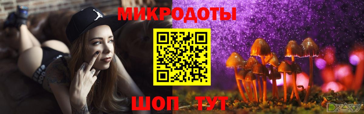 Галлюциногенные грибы Psilocybe Сергиев Посад